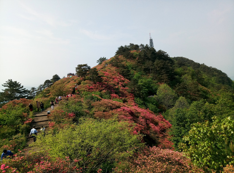 麻城龟峰山闲暇二日游(2018年 中国游记攻略【携程攻略】