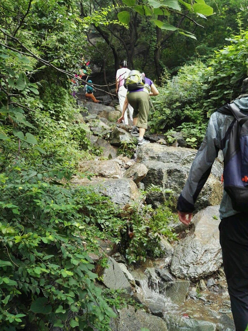 香山好汉坡