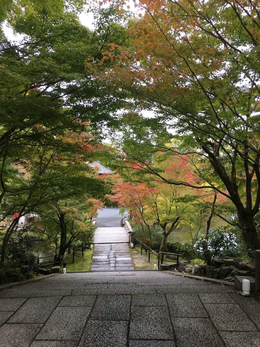 京都永观堂禅林寺