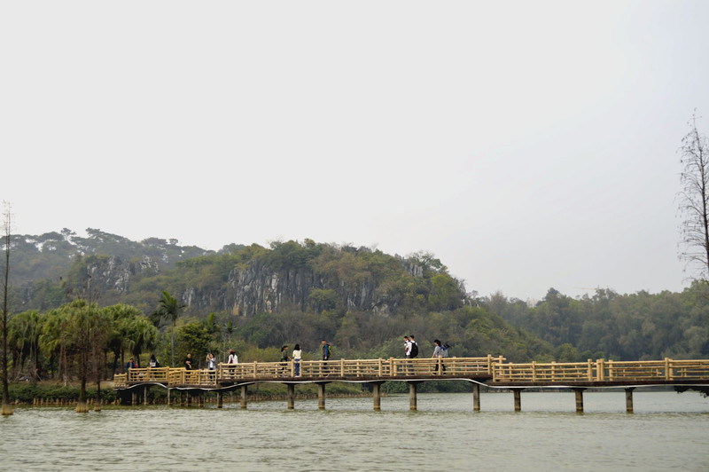 星湖湿地公园