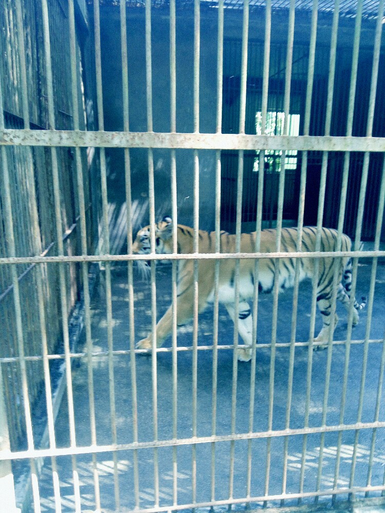 赣州森林动物园