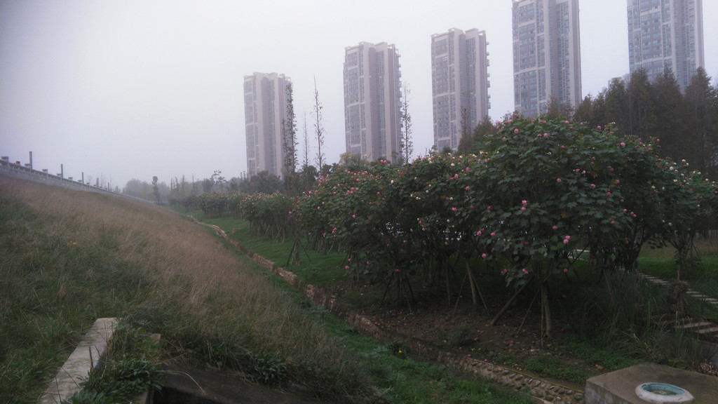 成都十陵--青龙湖游