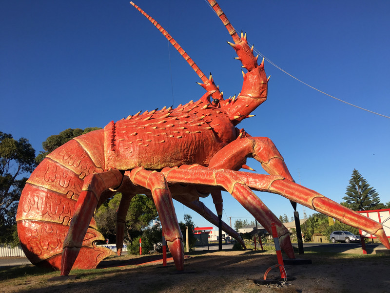 金斯顿小镇kingston s.e上17米高的龙虾雕塑