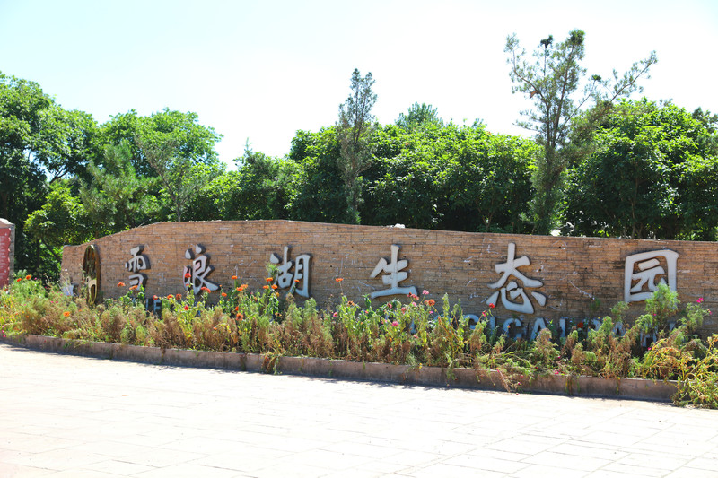 2018-07-14上海松江雪浪湖生态园,泰晤士小镇.