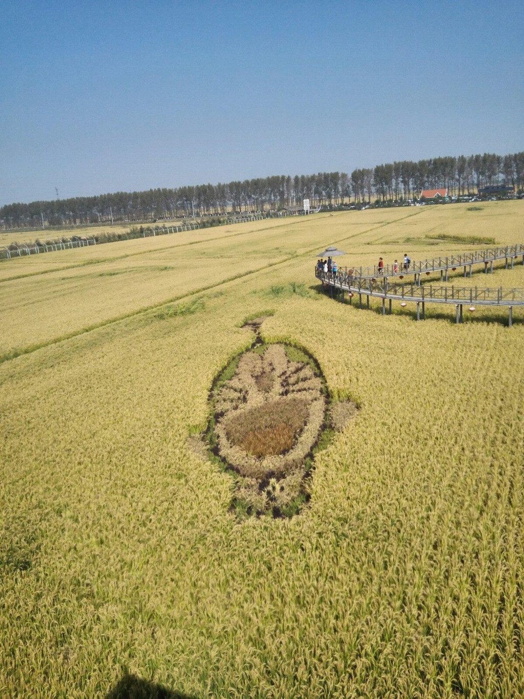 沈阳稻梦空间                              