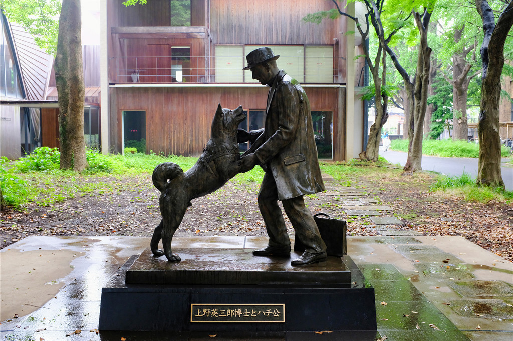 这次我会前往一个新发现的朝圣之地,东京大学农业部内的八公雕像