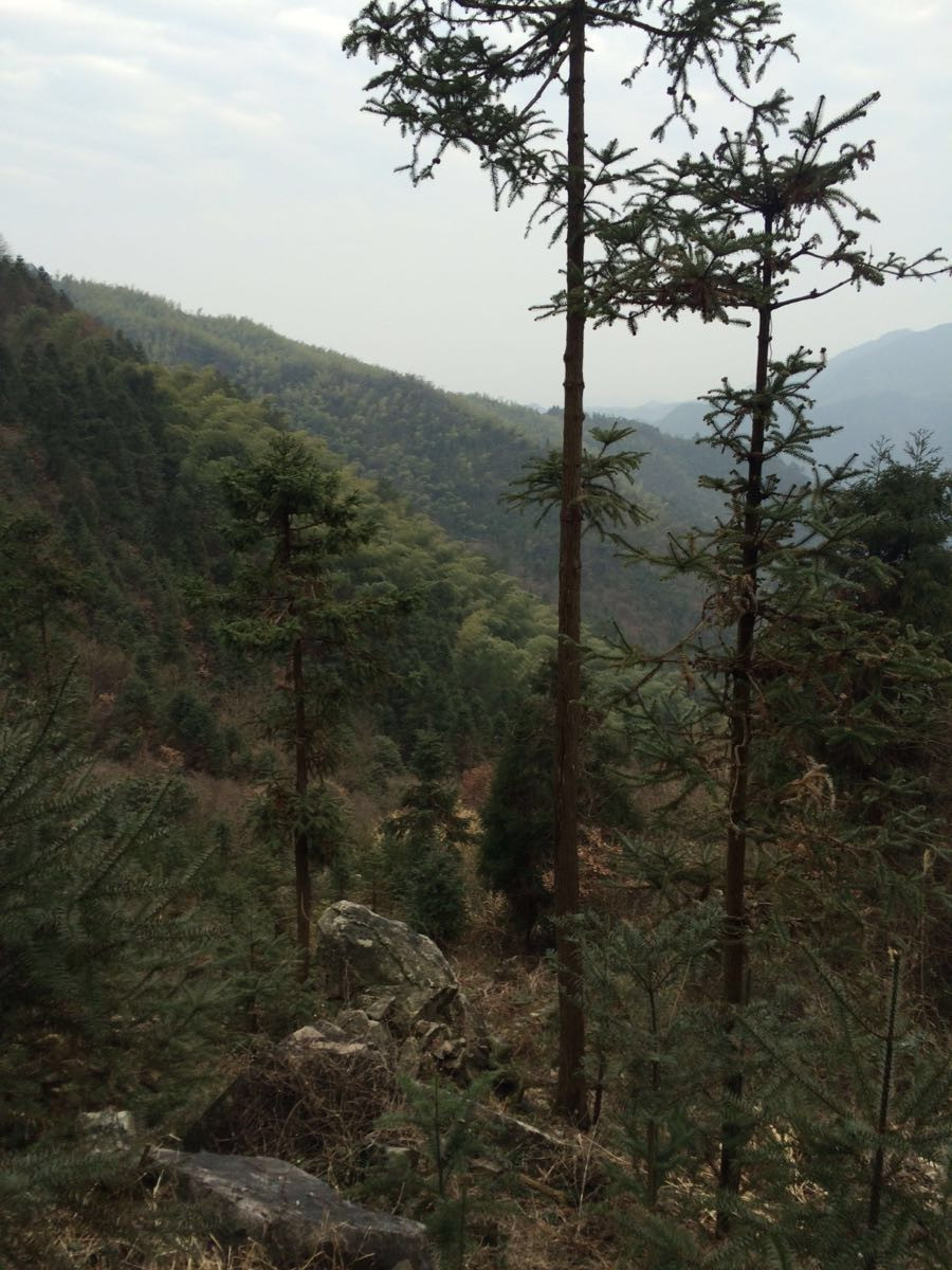 浙江神仙居,苍岭古道——一场说走就走的旅行