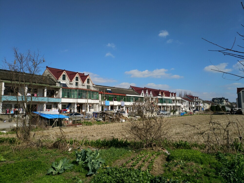 冬日寒风中的上海农村