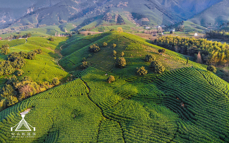 溪龙茶谷度假酒店;帐篷客就位于白茶第一村——安吉黄杜村的溪龙茶谷