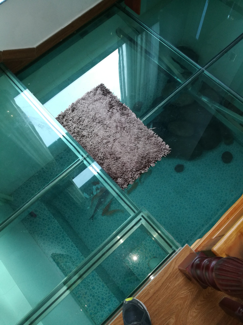 客厅玻璃地板下的鱼池