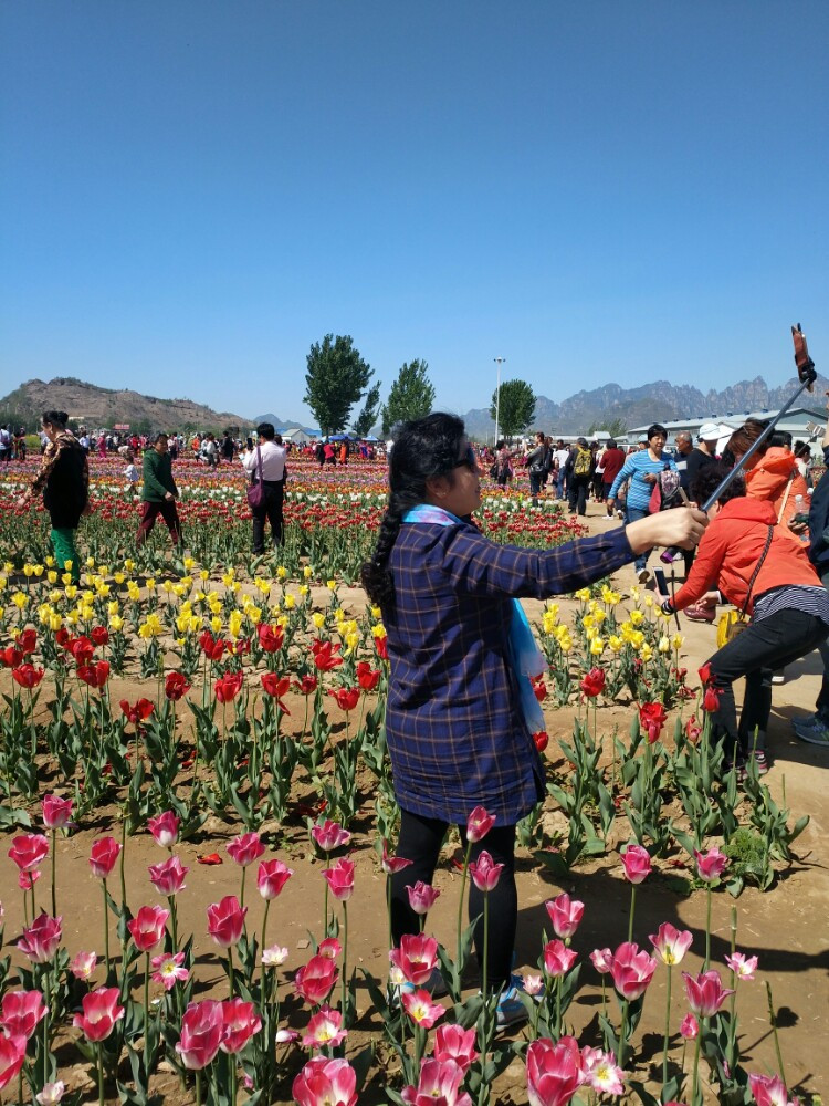 周六游狼牙山花海