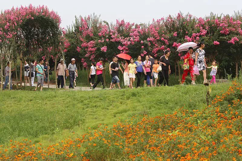 我的田园生态生活之旅——紫薇都市田园