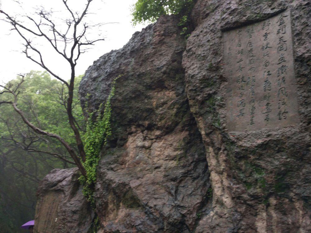 杭州宝石山宝淑塔,蛤蟆峰,玛瑙寺,西湖