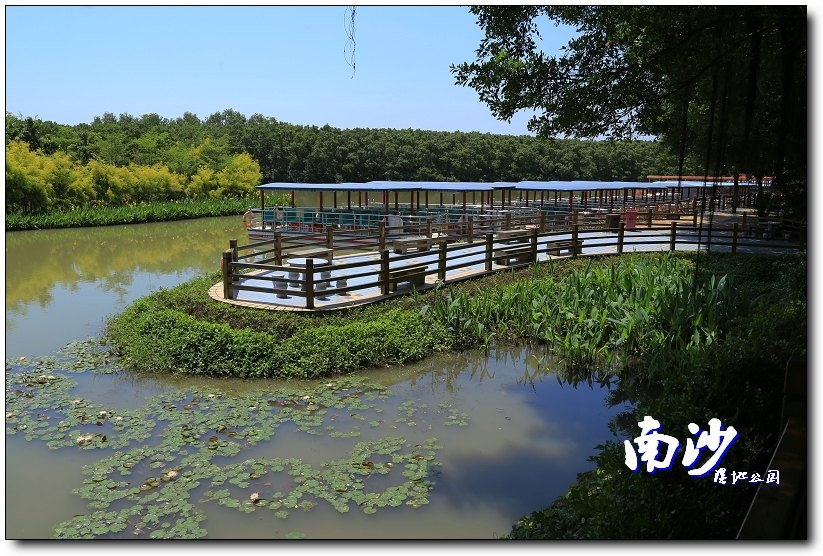 湖西的天空#:南沙湿地公园——天然生态园
