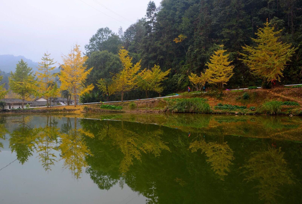 南雄帽子峰林场