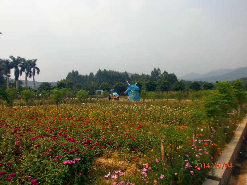 高明盈香生态园