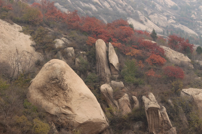 凤凰岭自然风景区