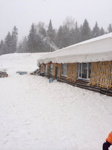 东方小巴黎 两个人的哈尔滨