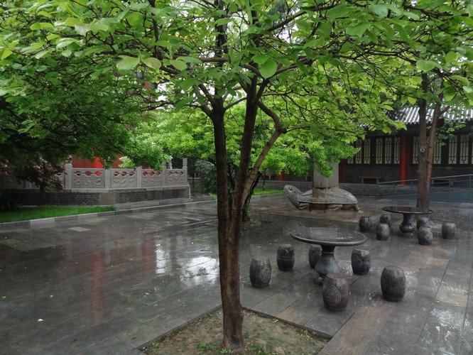 西北望长安,陌上无穷树