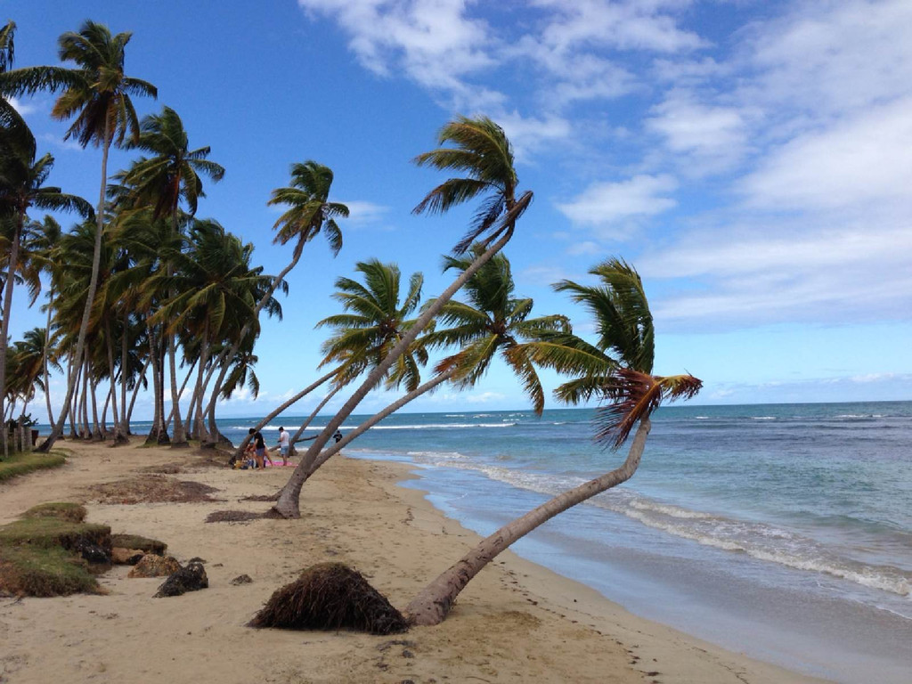 多米尼加海滩图片