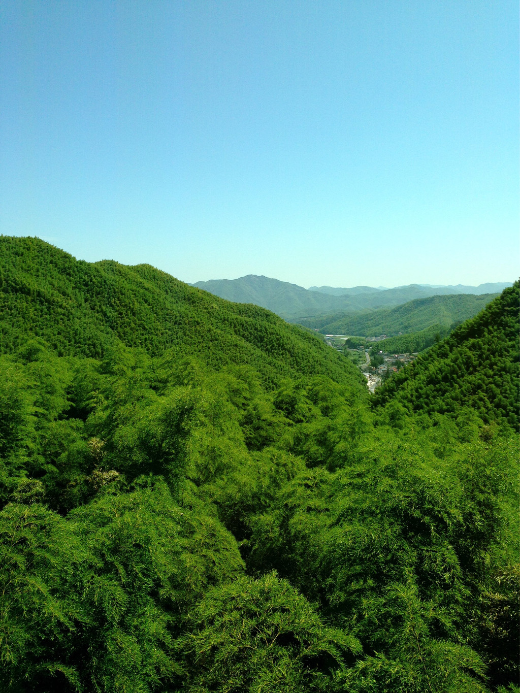 安吉中国大竹海(安吉中国大竹海景区)