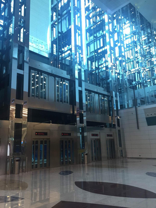                  气派非凡大电梯