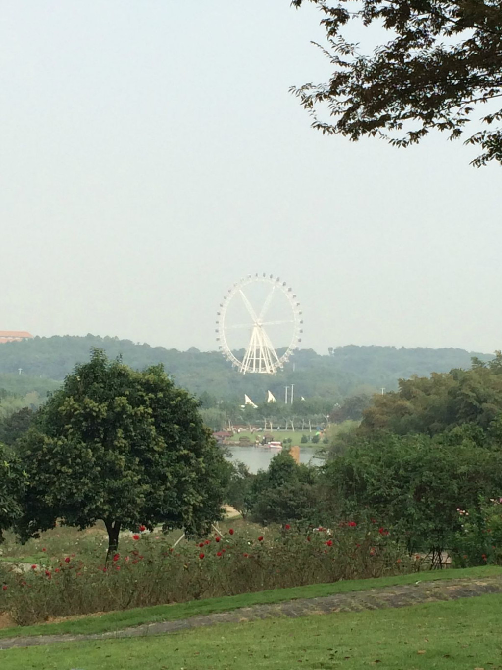 龍背山國家森林公園